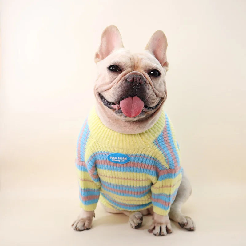 Blue and yellow striped wool blend dog sweater for small breeds in six sizes