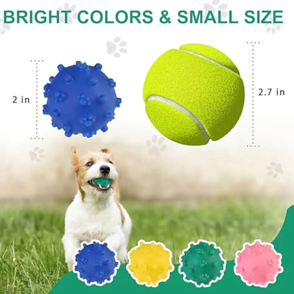 Set of four bright blue, green, pink, and yellow 2-inch squeaky dog toy balls with a textured, dimpled surface.
