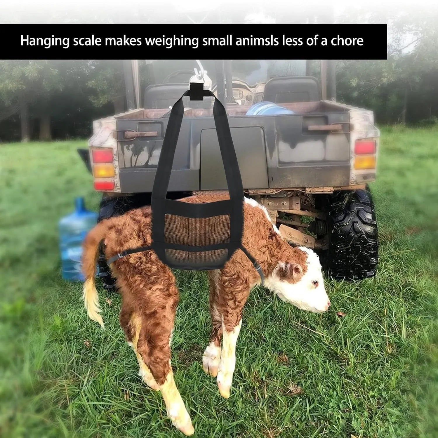 Black animal weighing sling measuring 35cm by 150cm with four attachment points for livestock and pet handling