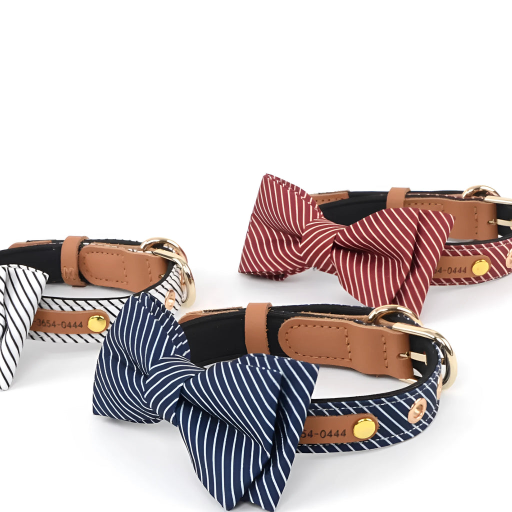 A white cotton dog collar with a detachable bow, showing the 2cm width and optional leather lettering.