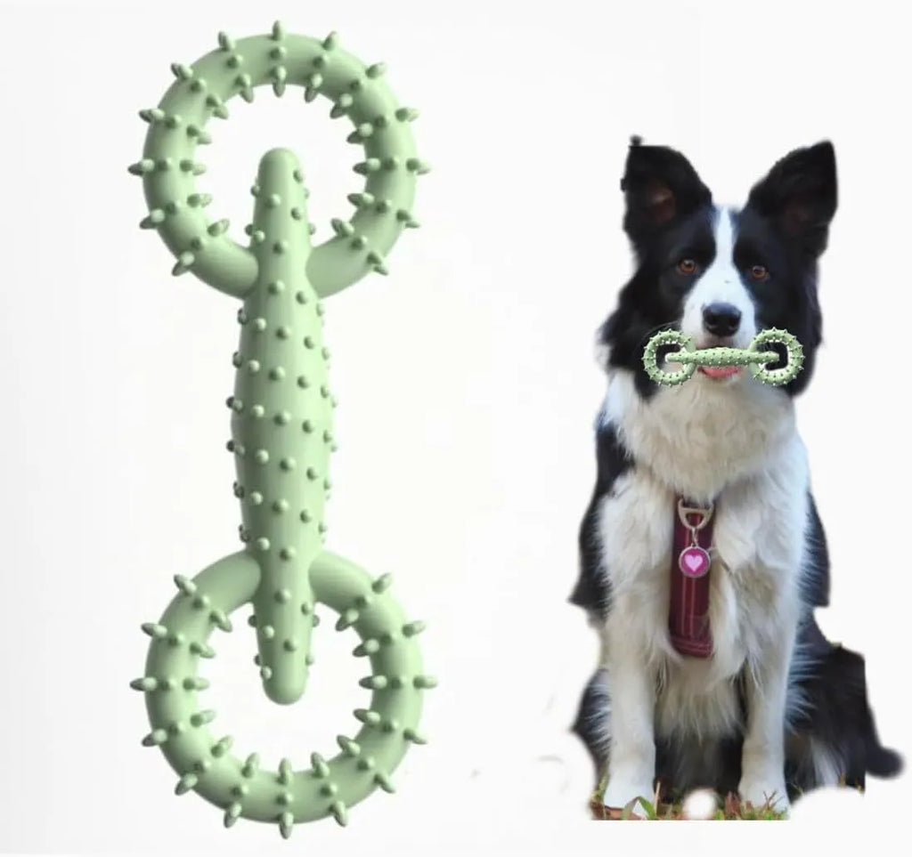 Blue TPR ring-shaped dog chew toy for puppy teething on a white background.