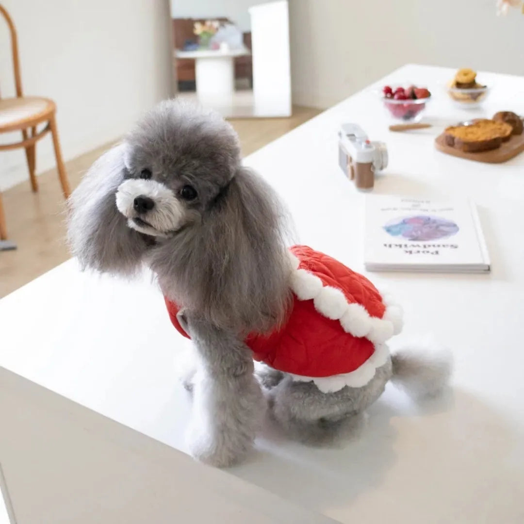 Red Chinese-style pet clothing with thick fur collar and knot detailing for dogs and cats