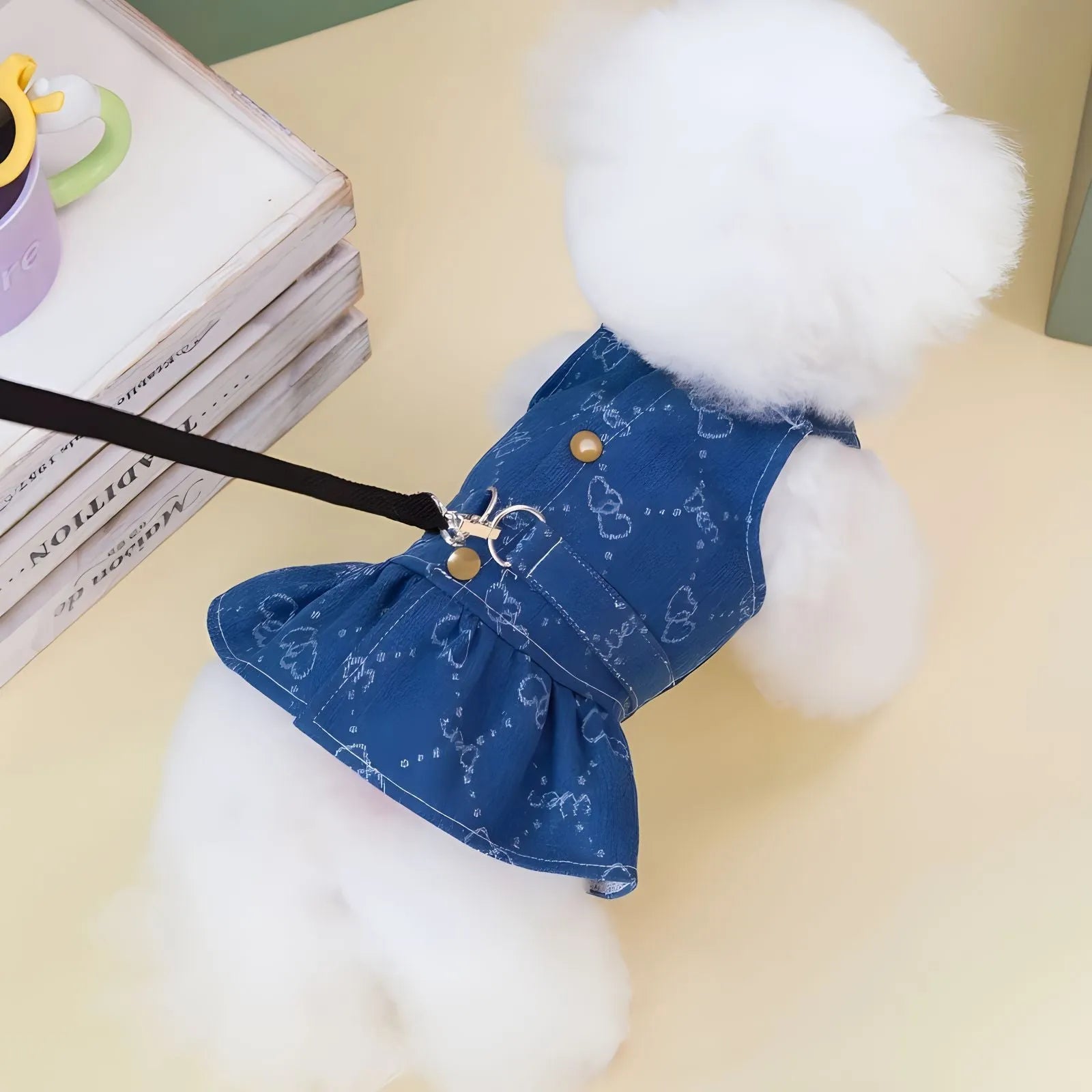 Teddy Bichon wearing thin denim princess dress in bracket-skirt style