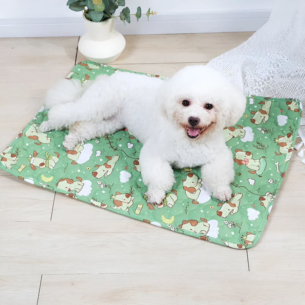 Washable waterproof pet training pad showing printed design options and size comparison