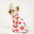 Four-legged dog jumpsuit in watermelon red print made from polyester, available in multiple sizes