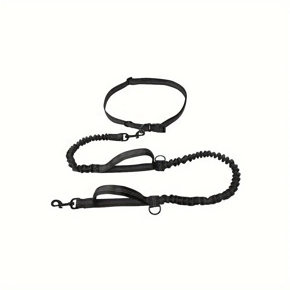 Hands-free dog leash with adjustable waist belt showing reflective trim and quick-release clip
