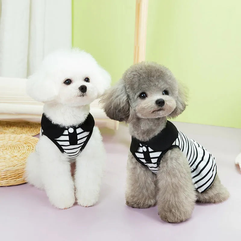 Pet wearing striped cotton t-shirt and matching skirt summer outfit set