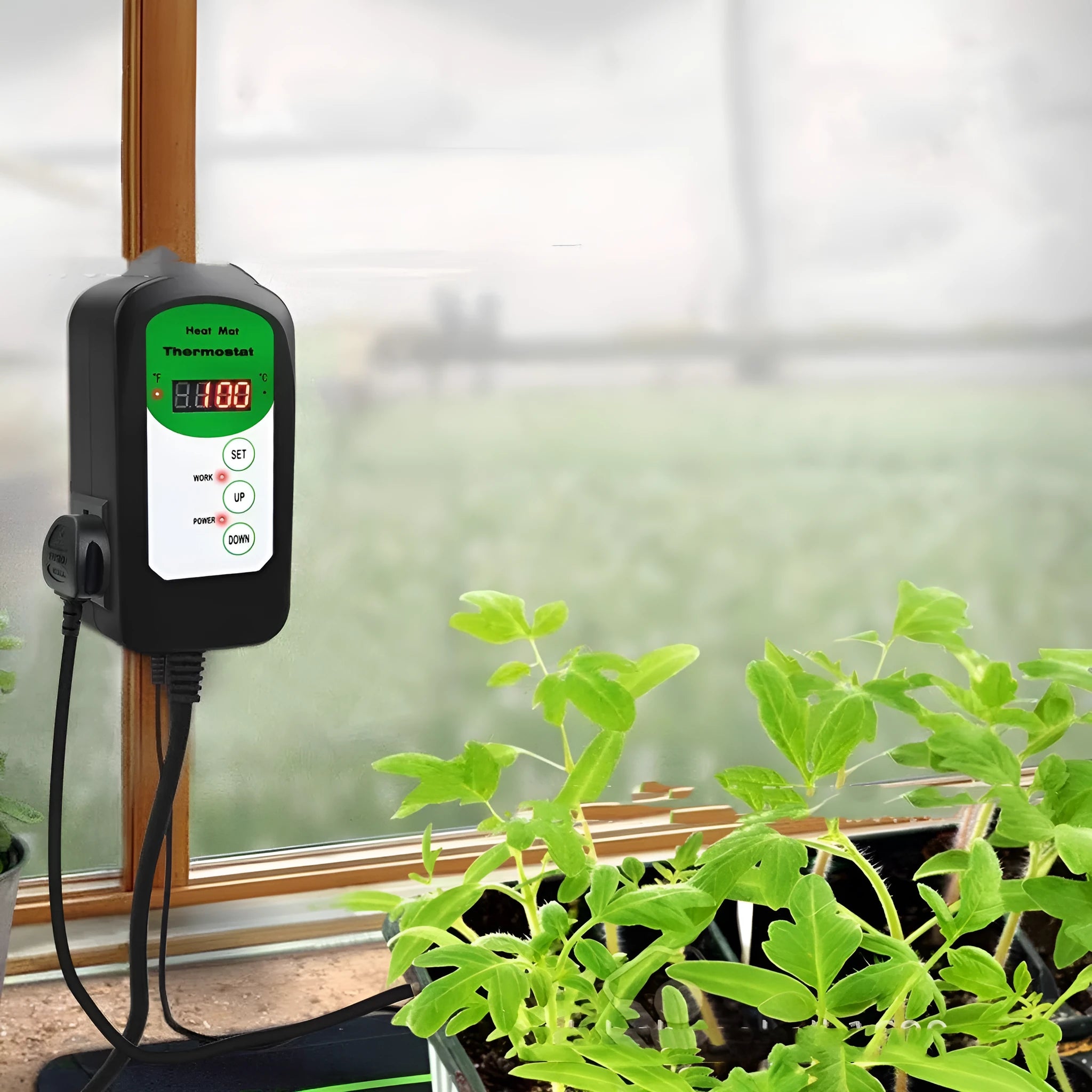 BH1912020 digital temperature and humidity controller with display showing readings