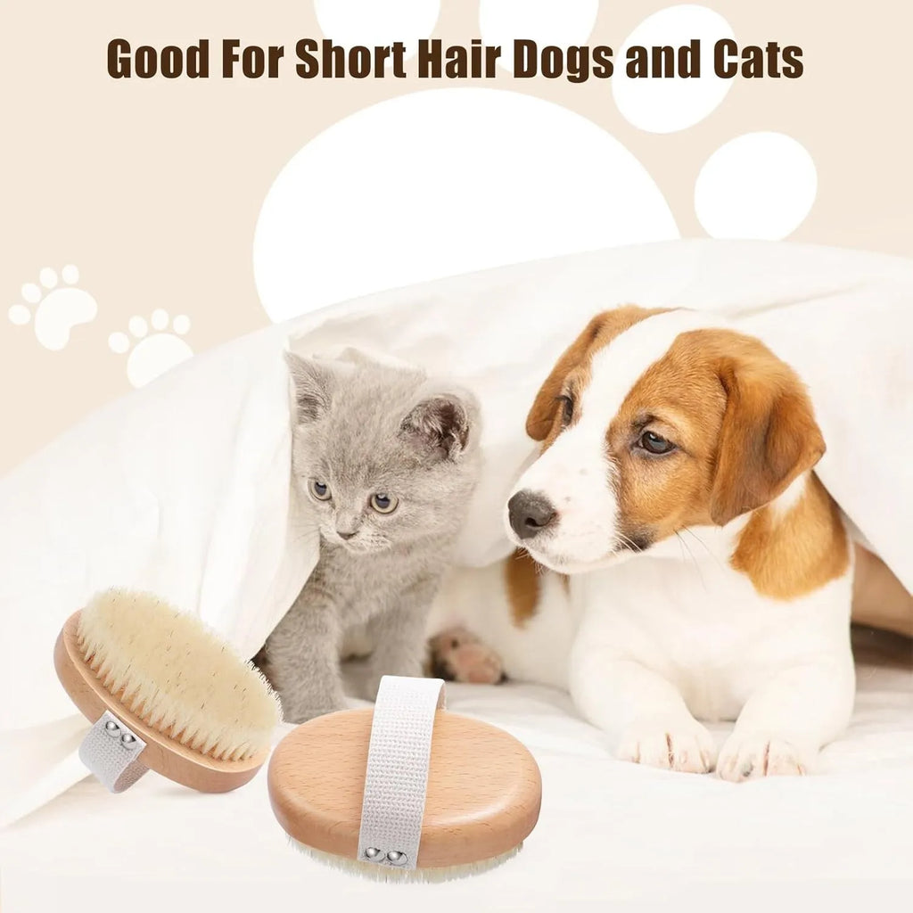 Soft boar bristle pet palm brush for short-haired dogs and cats with beech wood handle