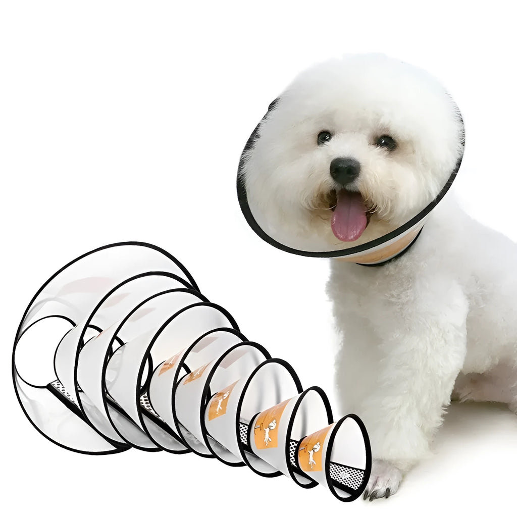 Transparent PP pet cleaning ring collar with adjustable Velcro, shown in size options for 9-46cm necks