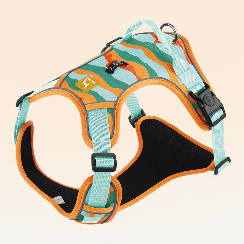 Reflective orange dog harness and lead set with chest and back straps held in a hand.