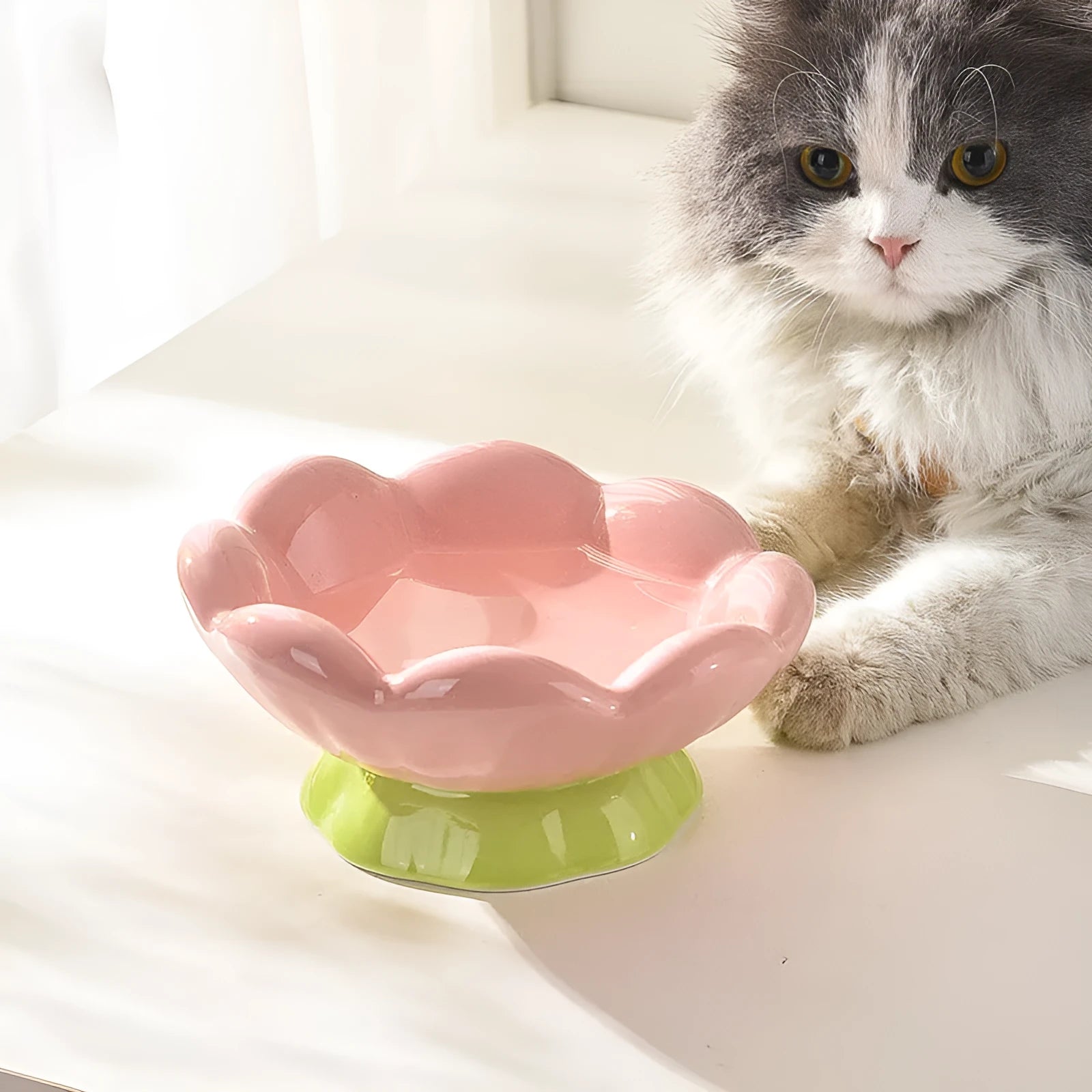 Pink ceramic raised cat bowl with flower shape and non-slip base, 15-degree angle, for small to medium cats