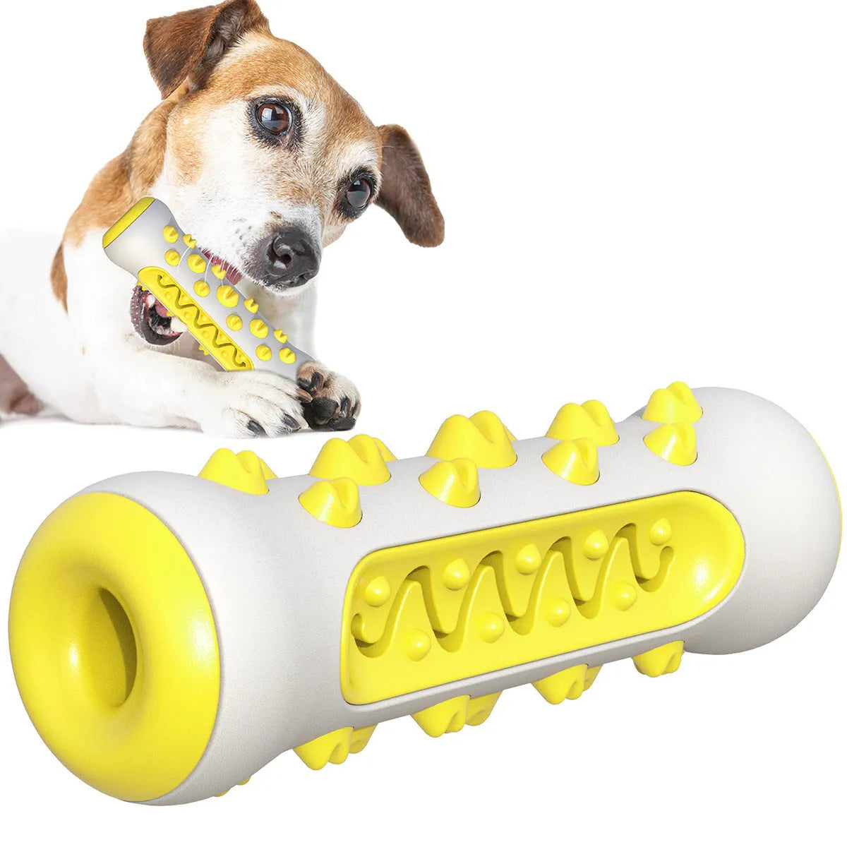 Natural rubber dog dental chew toy in four colours, showing textured surface for teeth cleaning.