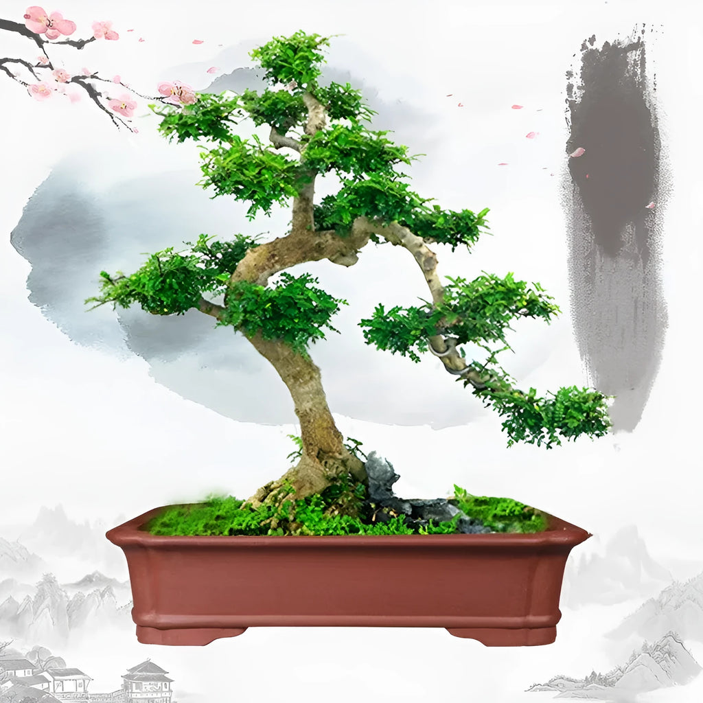 Large rectangular purple clay flowerpot for bonsai and garden plants with handmade finish