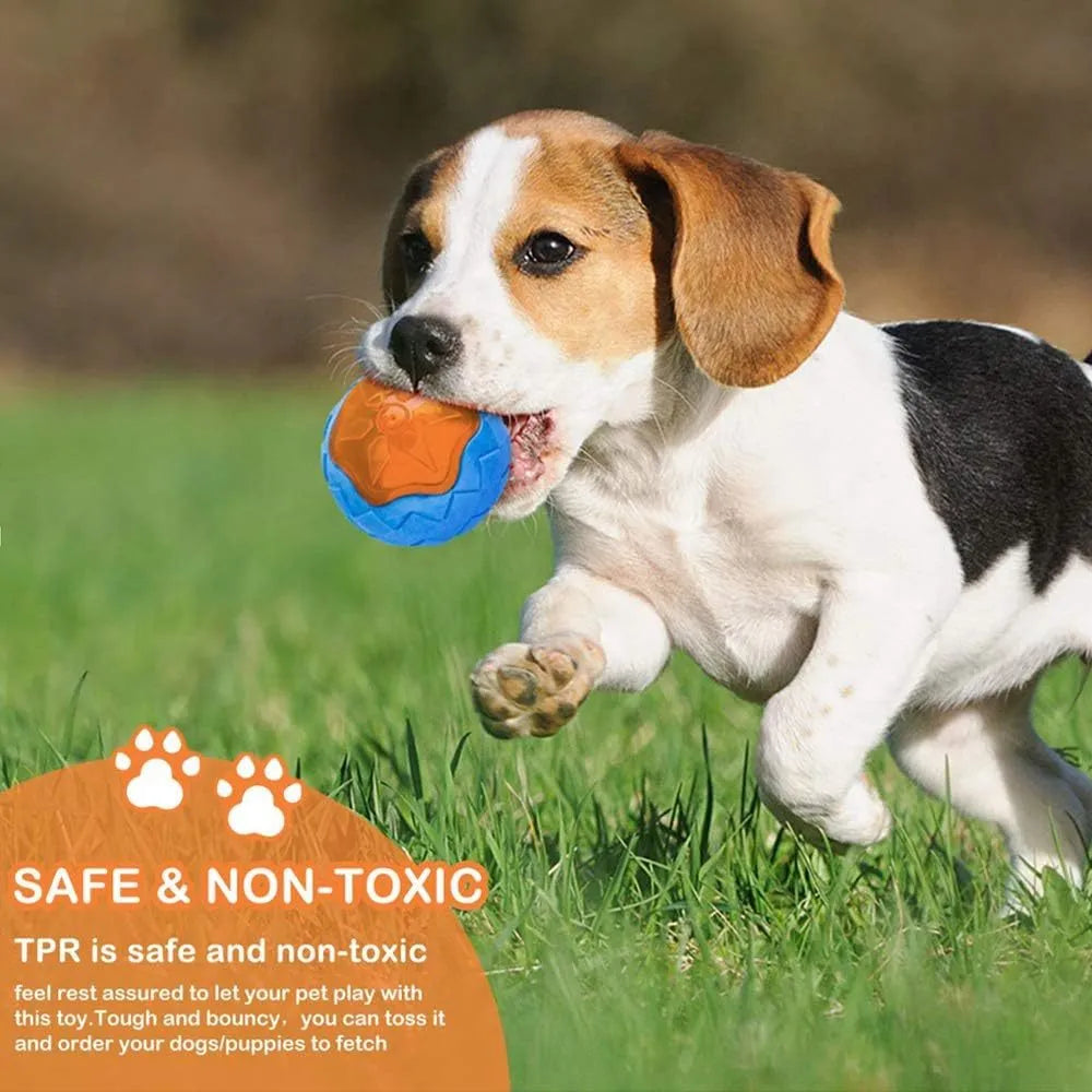 Set of three TPR dog toys: a red ball, a blue barbell, and an orange tire, floating in water.