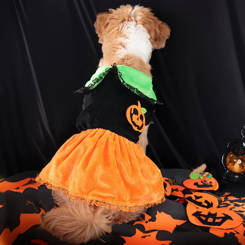 Crystal velvet Halloween pumpkin skirt costume for pet dog or cat in multiple sizes