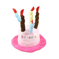 Blue and pink dog birthday hats showing 21cm by 15cm by 6.5cm dimensions