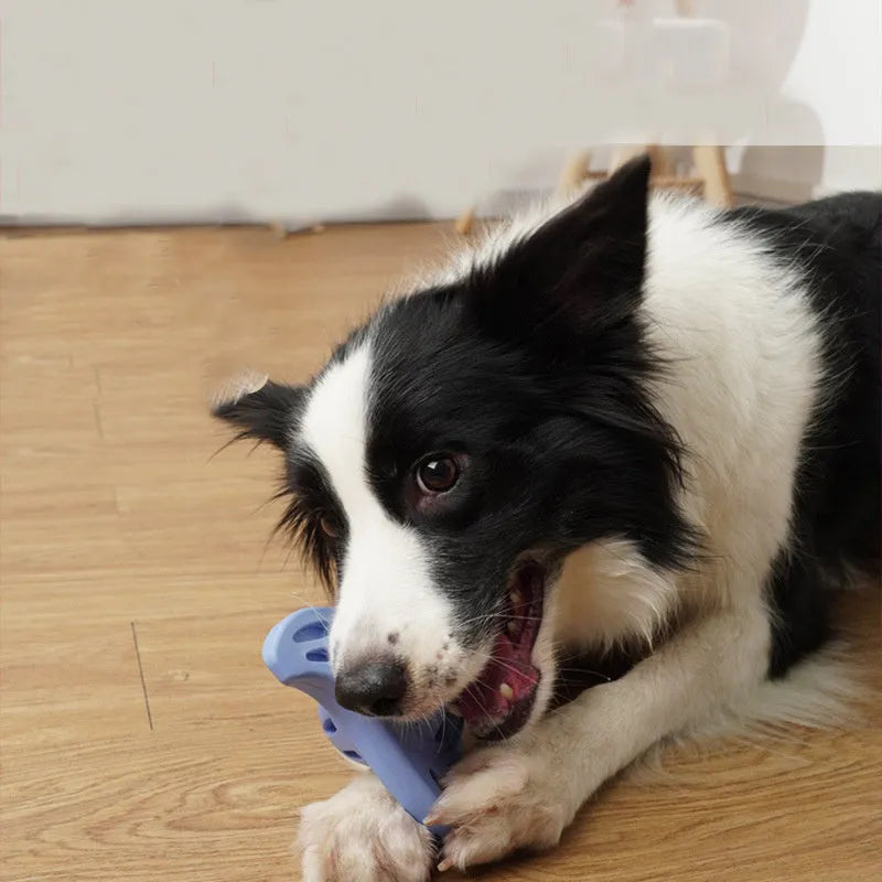 Blue bite-resistant boomerang dog toy with molar edges for large breed puppies on a white background.