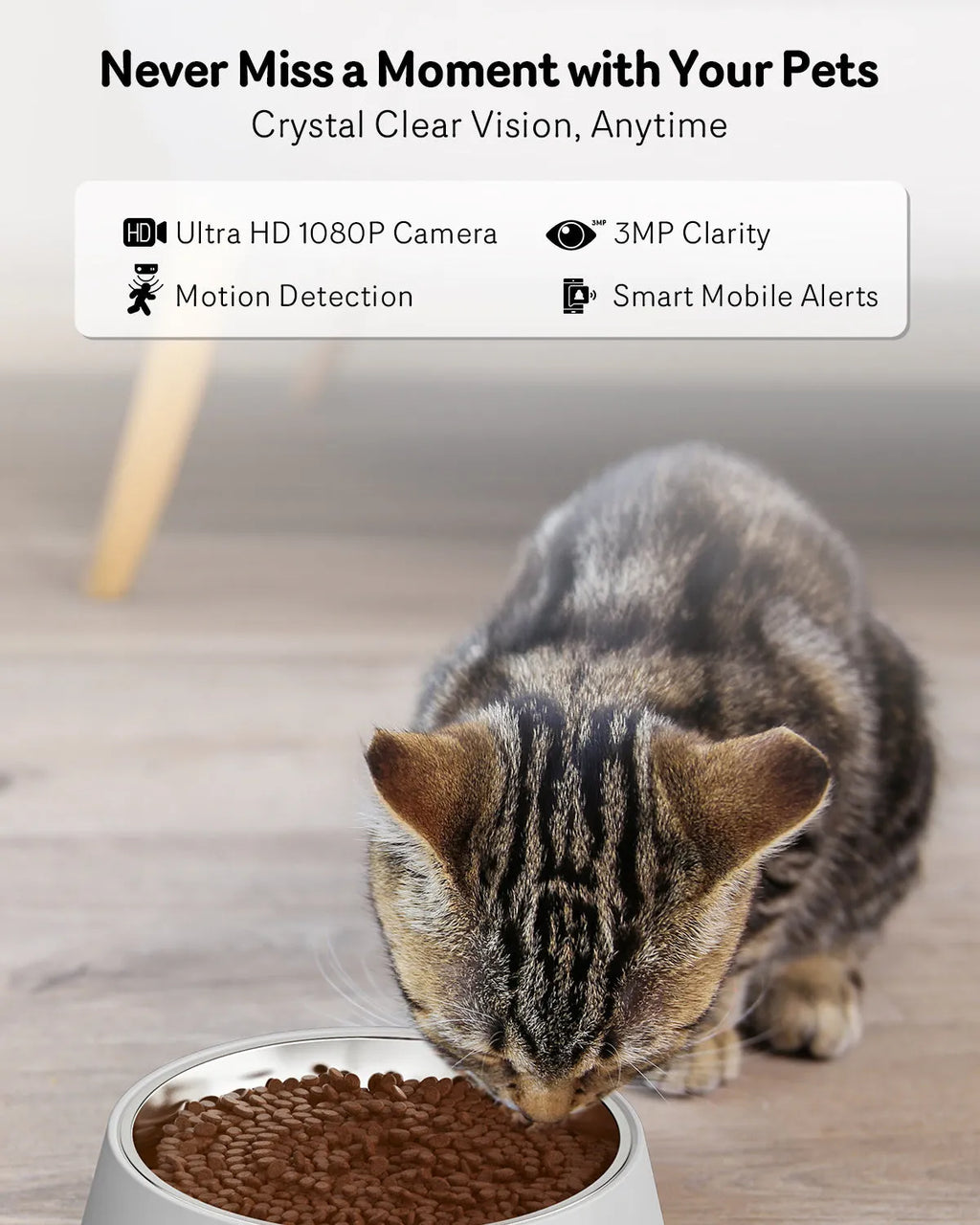 Automatic cat feeder with integrated camera, stainless steel food tray, and 4L storage hopper.