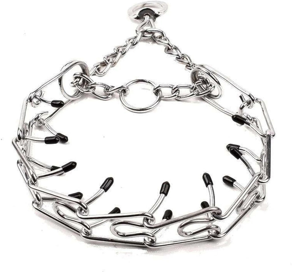 Stainless steel dog prong training collar with rubber tips and adjustable chain links.