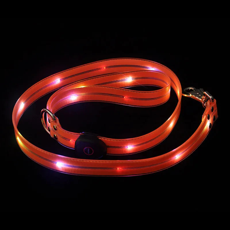 PVC dog leash with fluorescent colour options measuring 120cm length for hand holding control