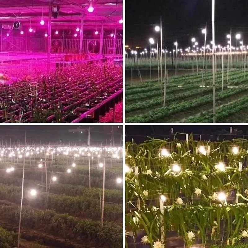 LED plant fill light bulb 9W for succulent cultivation with PC shell and E27 screw base