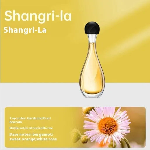 Ultrasonic aroma diffuser with mosquito repellent function in six scent options