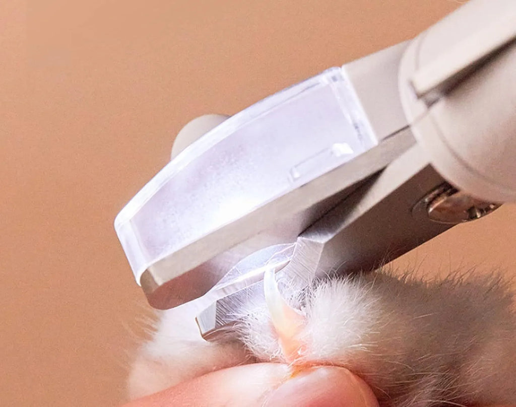 White pet nail clippers with LED light and transparent anti-splash guard next to a nail file on a table