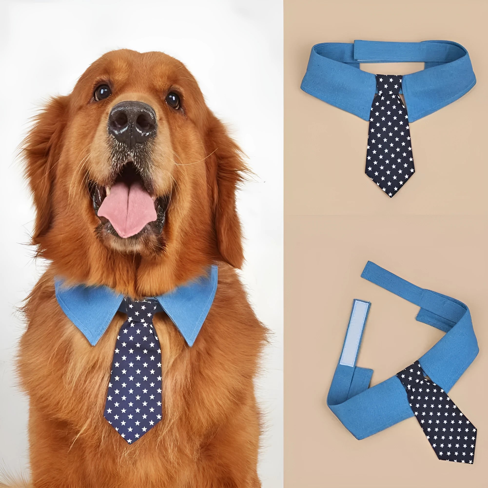 Denim pet collar with star-pattern necktie on adjustable fastener tape closure