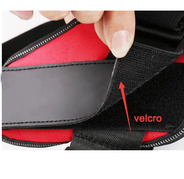 Personalised reflective nylon no-pull dog harness vest on a dog, showing adjustable straps and D-ring.