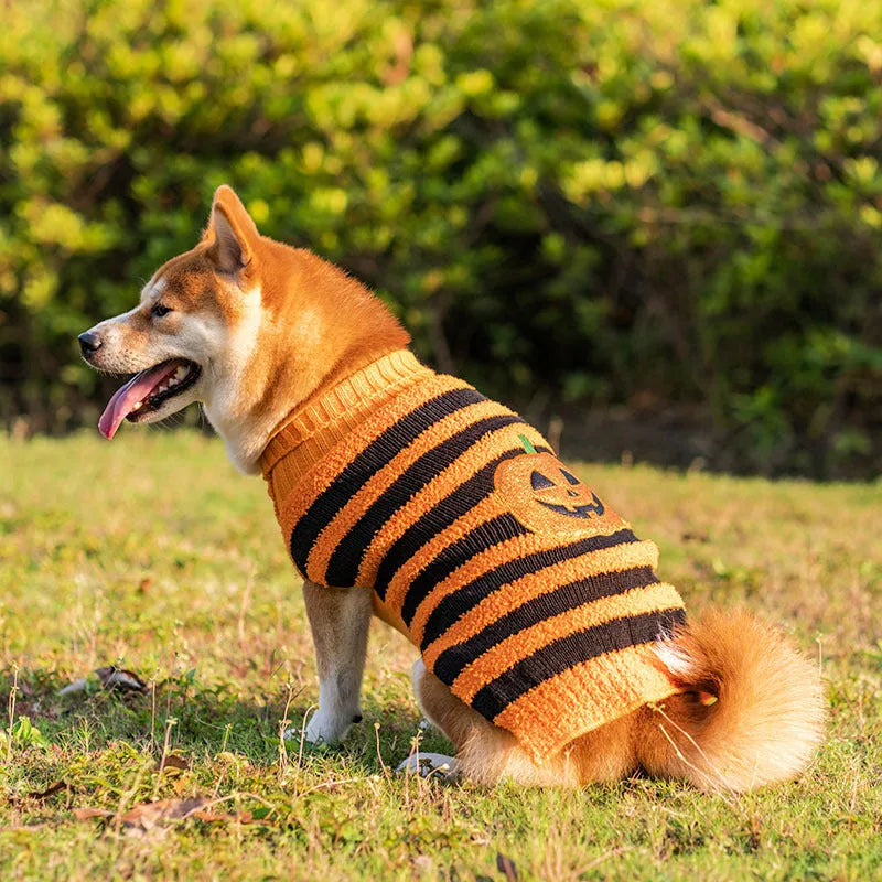 Halloween dog sweater in acrylic for small dogs, orange or black pet costume jumper, sizes XS to XL