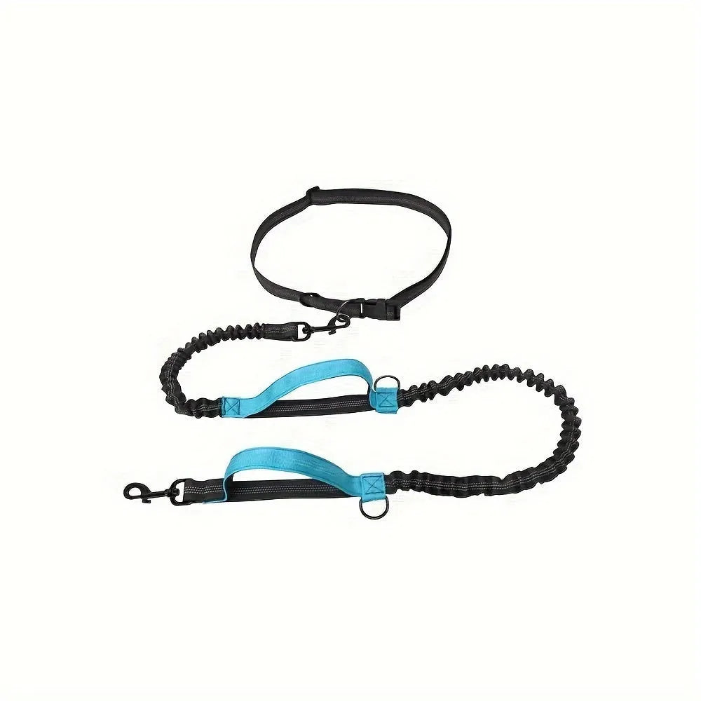 Hands-free dog leash with adjustable waist belt showing reflective trim and quick-release clip