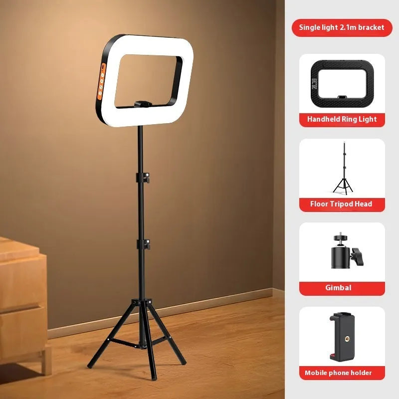 Rechargeable mobile phone fill light with adjustable colour temperature and dual mounting options