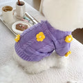 Purple flower print knitted dog jumper shown on a small dog, demonstrating the floral pattern and fit.