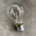 Old-fashioned incandescent tungsten bulb with E27 screw base, 220V, clear glass