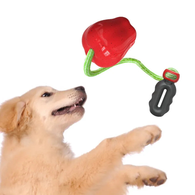 Green and red apple-shaped plastic dog toy with a textured surface and hollow centre.