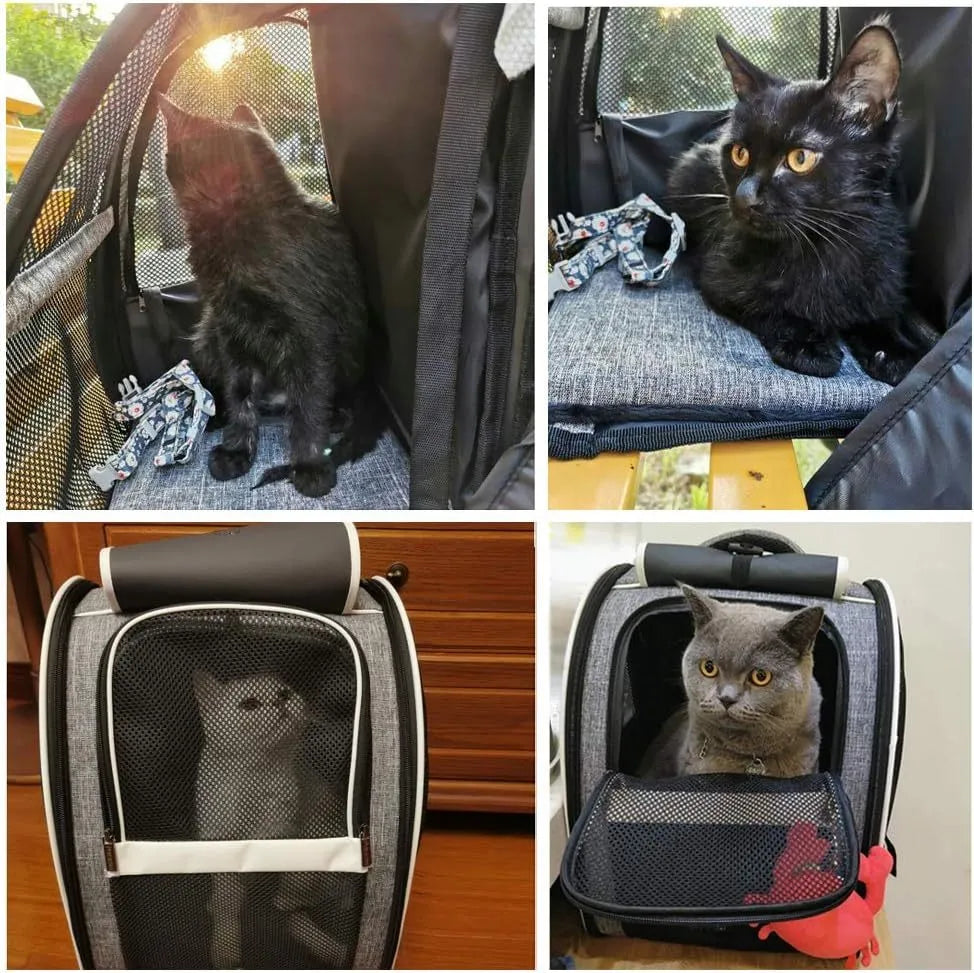 Grey or pink PVC mesh pet carrier backpack for cats and small dogs, 42cm x 31cm x 5cm, with chest buckles and removable mat.