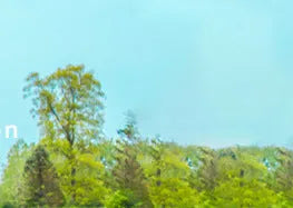 Silicone green rubber putter plate indoor hole cup 16cm diameter for golf practice