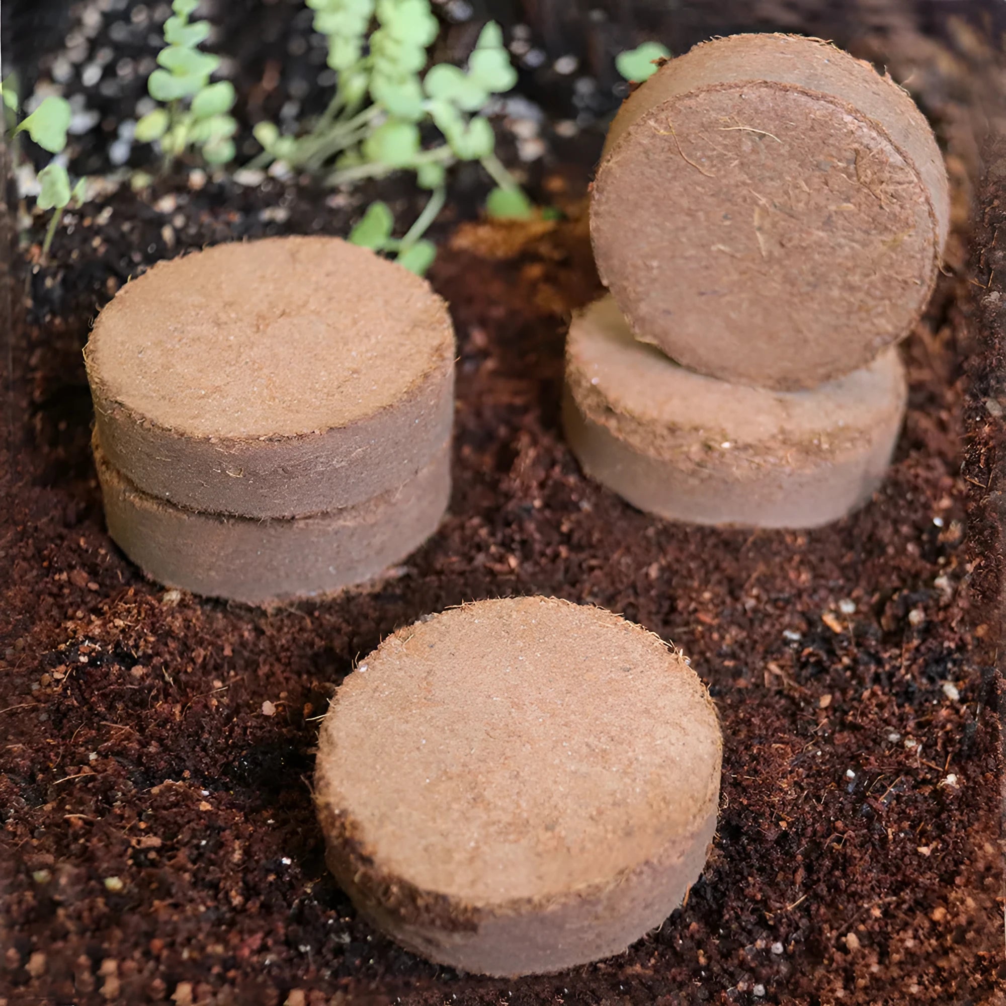 Nutrient soil blocks for vegetable planting and seedling cultivation in various sizes.