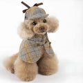 Camel-coloured cotton dog cloak with adjustable hood shown on a small breed dog.