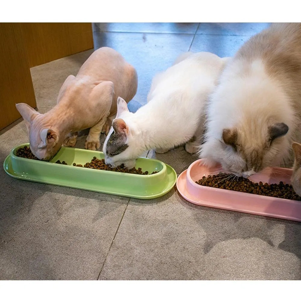 Leakproof pet bowl feeder with non-slip base in green, pink and yellow colours