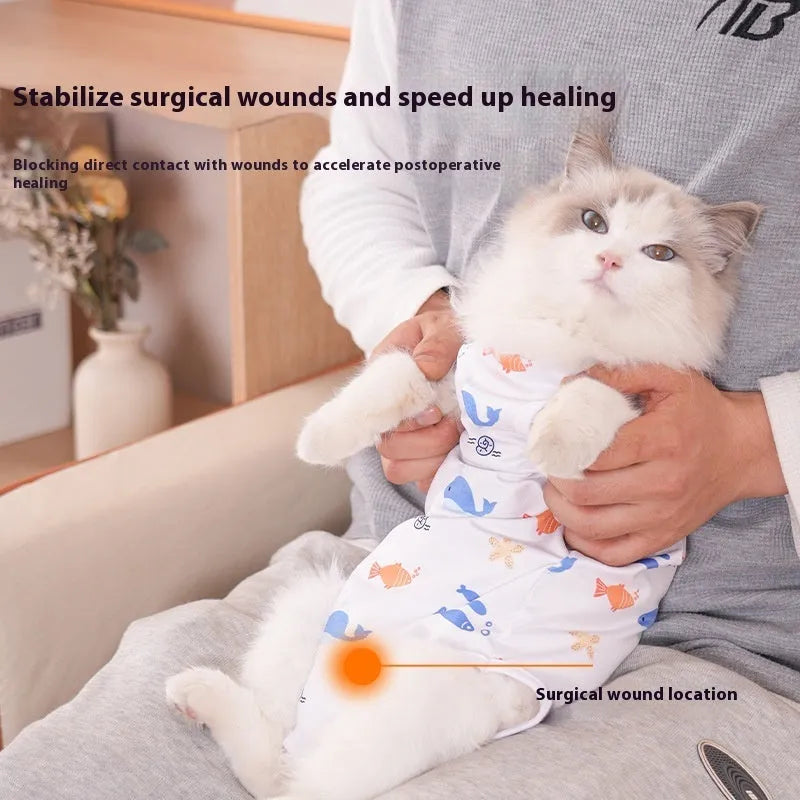 Cat wearing a soft polyester sterilisation recovery suit with Velcro fastening on its side.