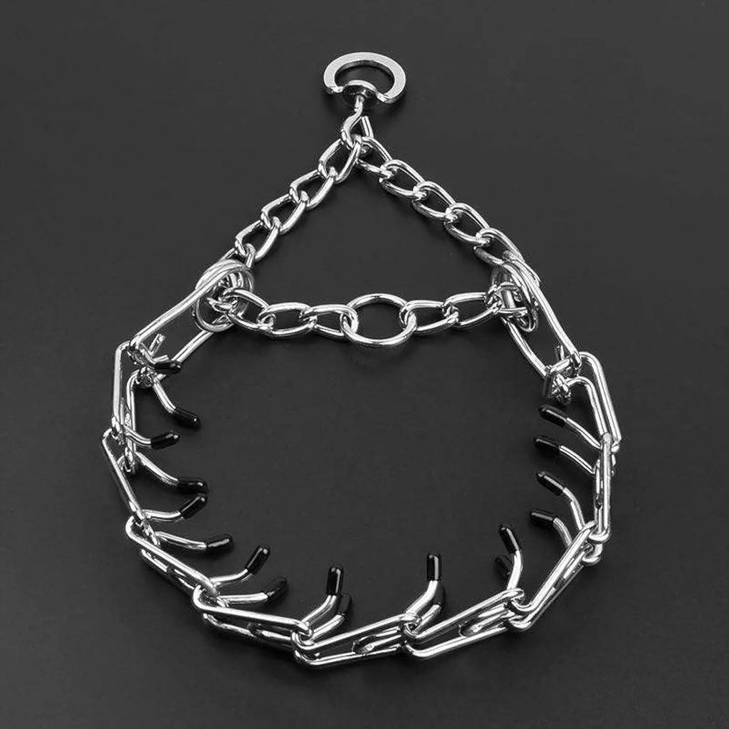 Stainless steel dog prong training collar with rubber tips and adjustable chain links.
