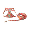 Floral pattern pet harness with matching leash for small dogs in multiple colour options