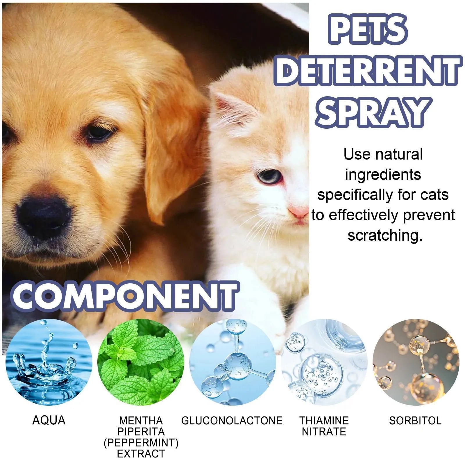 50ml pet training deterrent spray in box for dogs and cats anti-scratch protection