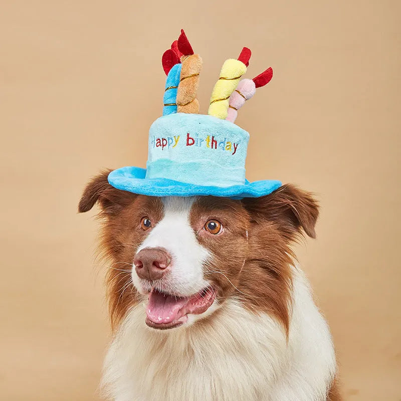 Blue and pink dog birthday hats showing 21cm by 15cm by 6.5cm dimensions