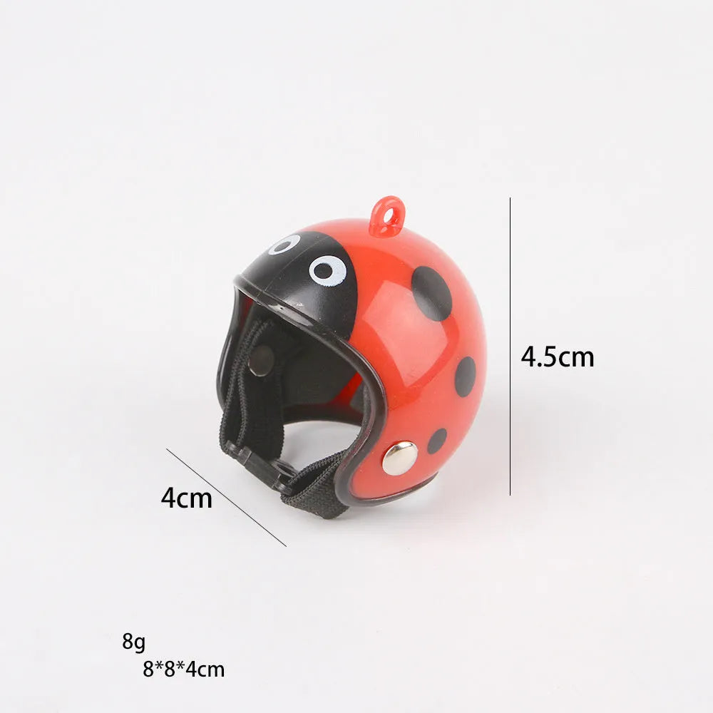Small hard plastic pet helmet with elastic straps, shown on a chicken.