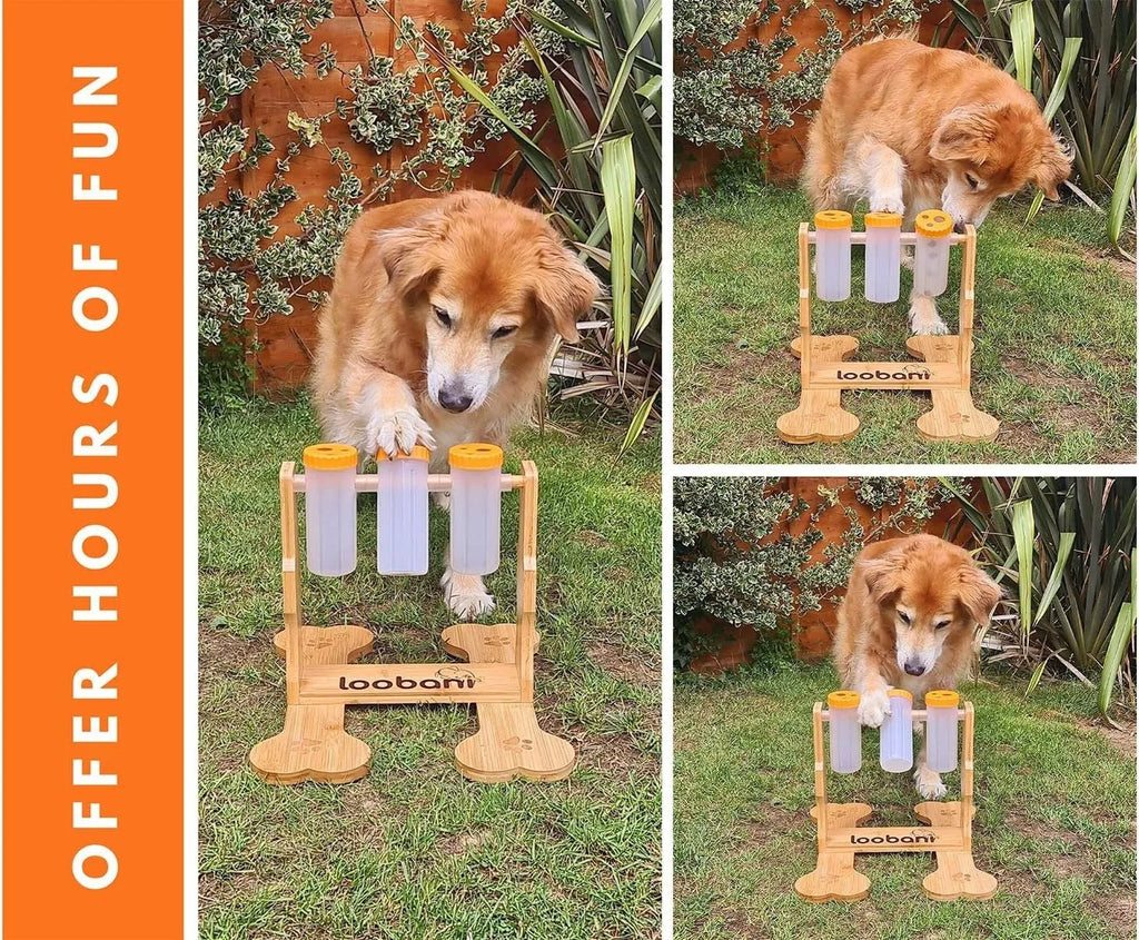 Wooden interactive dog puzzle toy and slow feeder with treat slots, 31cm long.
