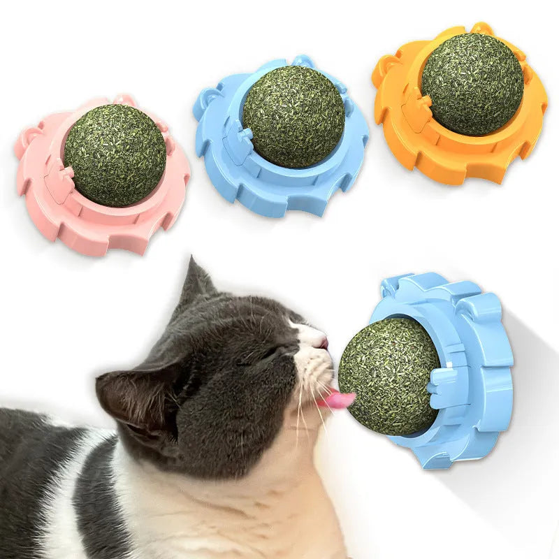 Paste-on catnip molar chew toy in PP plastic, shown in orange, pink, or blue with mint or Polygonum multiflorum flavour