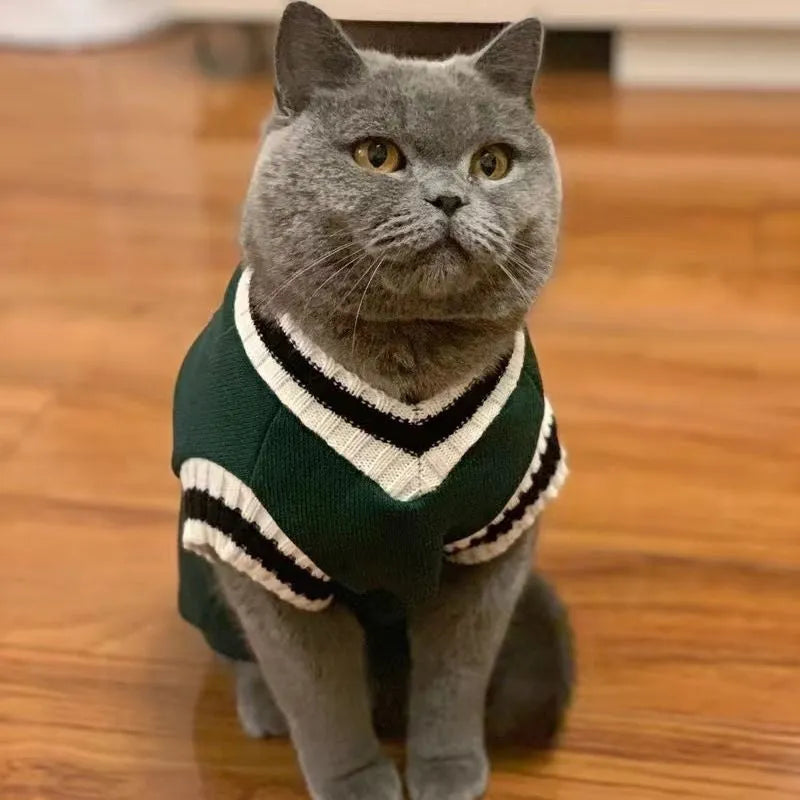 College style winter cat clothing in blue duck colour showing size options for cats 1-9.5kg